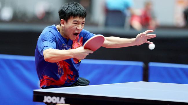 体的发达 体的发达